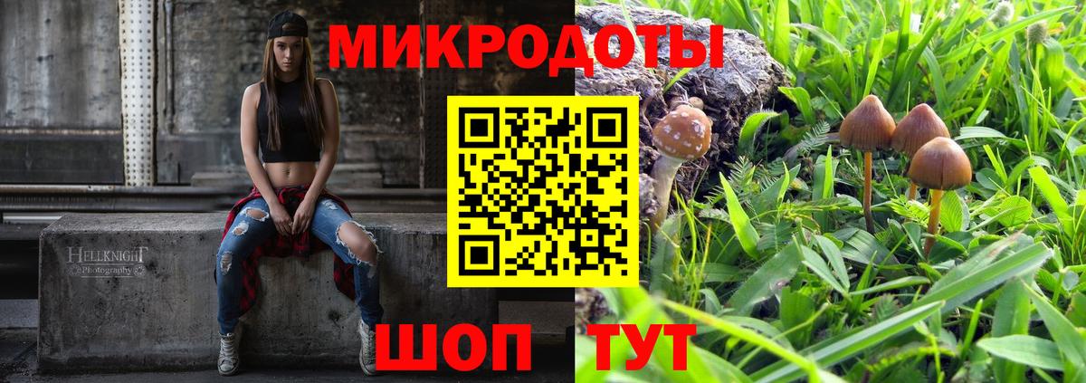 Галлюциногенные грибы Cubensis  Вход с VPN  Галлюциногенные грибы Cubensis  где купить   Альметьевск 